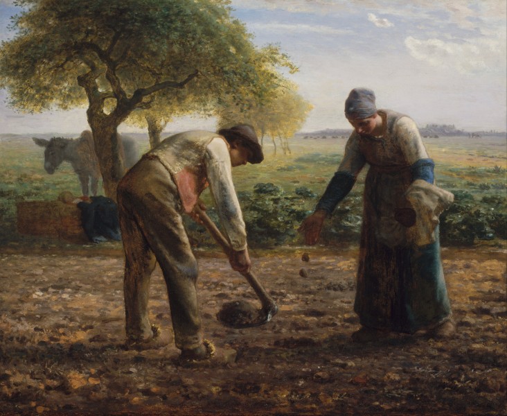 Una mujer y un hombre se hallan plantando patatas en una huerta. Pintura de Jean François Millet, 1861.
