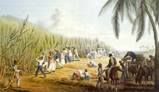 Plantación de Azucar en La Española en 1823
